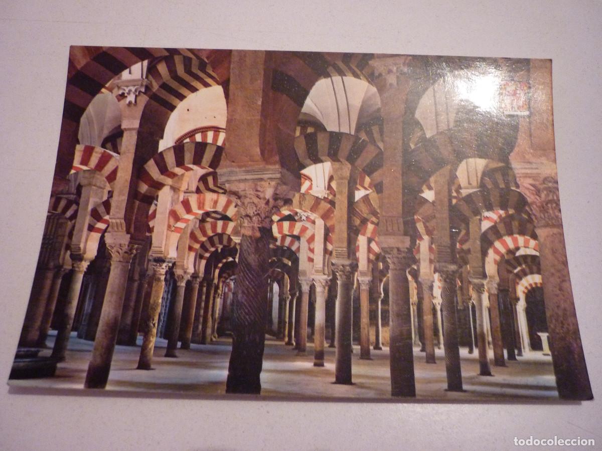 Postkarten: POSTAL MEZQUITA C&Oacute;RDOBA, ED.PERGAMINO, SIN CIRCULAR N&ordm;5564