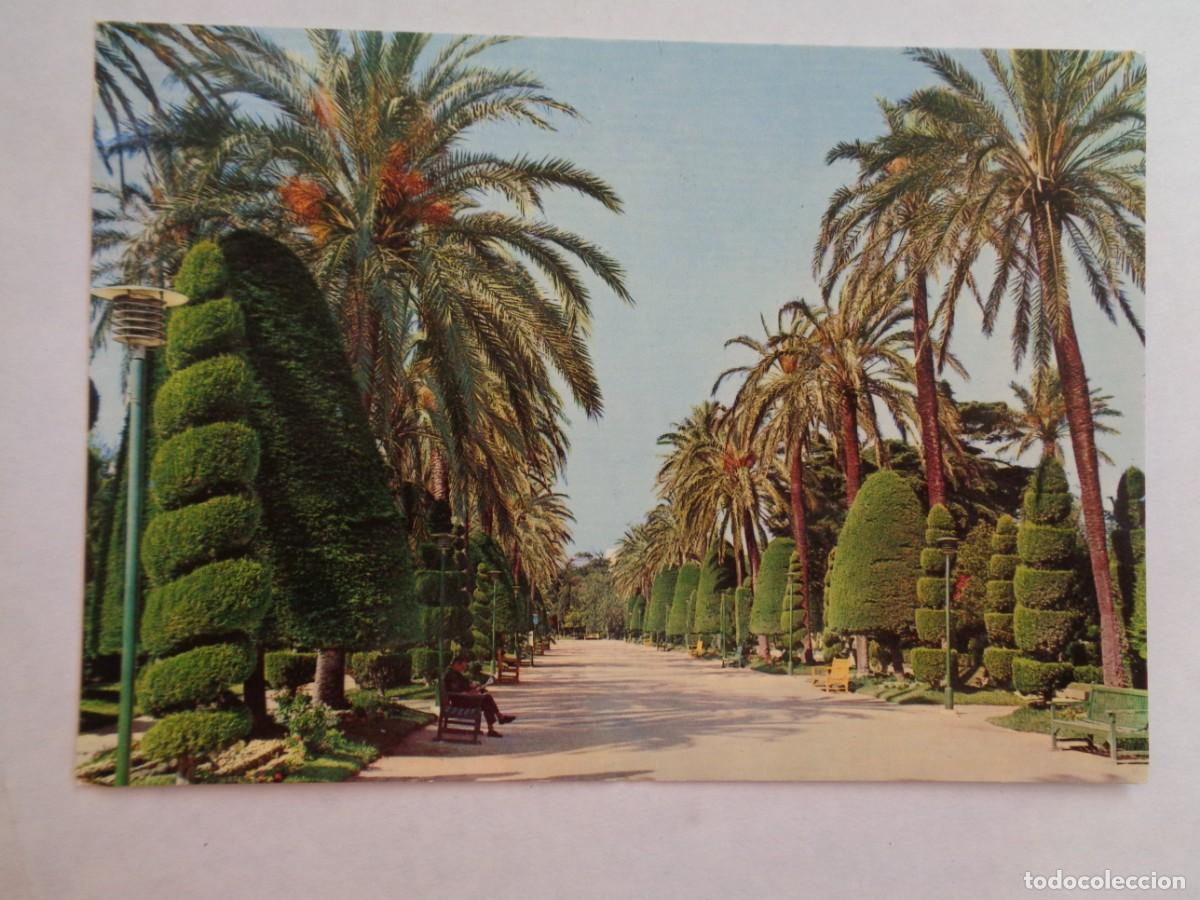Postcards: POSTAL DE CADIZ : PARQUE GENOVES, PASEO DE LAS PALMERAS . A&Ntilde;OS 60
