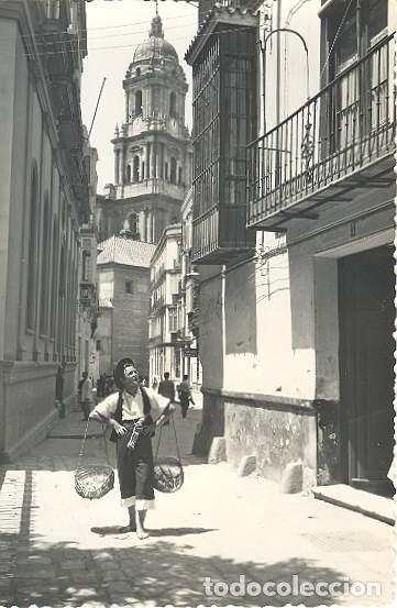Postales: Malaga - Tipico Vendedor de Pescado en Calle San Agustin