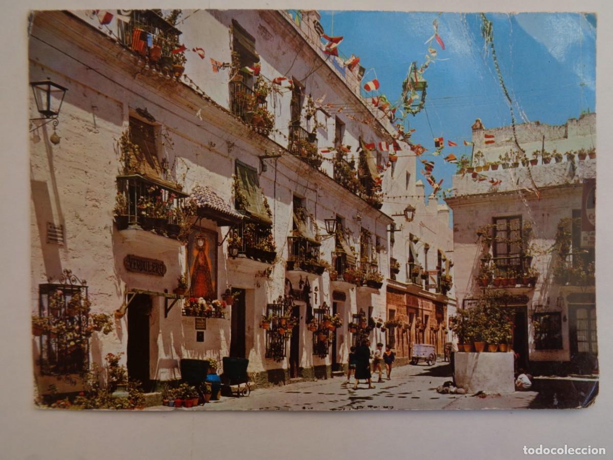 Cartoline: POSTAL DE CADIZ : PLAZA DEL TIO DE LA TIZA . A&Ntilde;OS 60