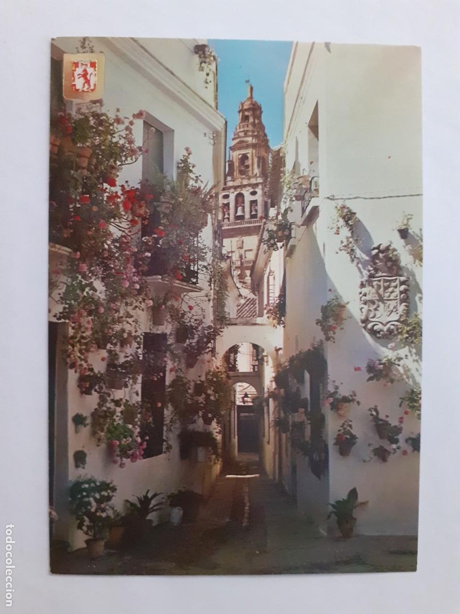 Postales: POSTAL - CORDOBA CALLEJA DE LAS FLORES - CASANOVAS 704 - S/C