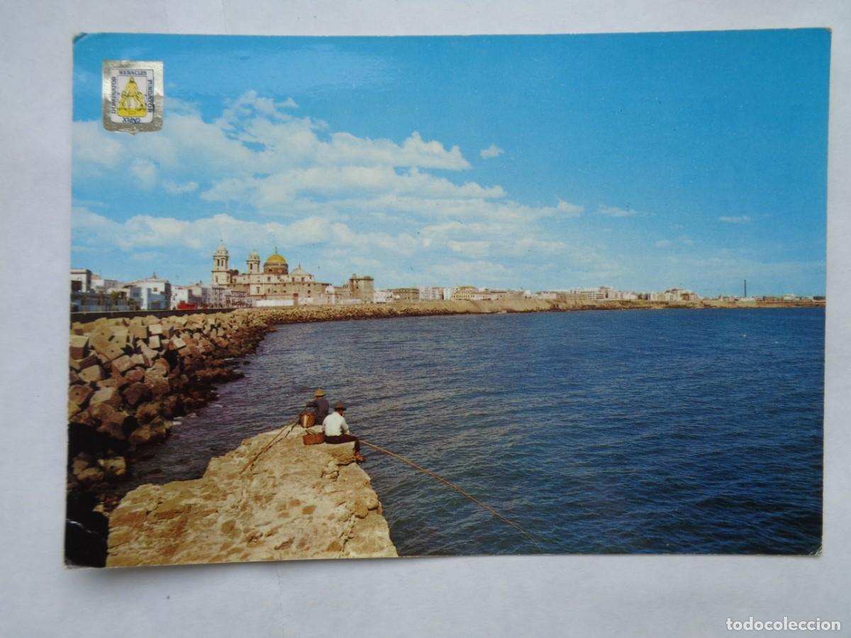 Cartoline: POSTAL DE CADIZ : MURALLAS Y CAMPO DEL SUR . A&Ntilde;OS 60