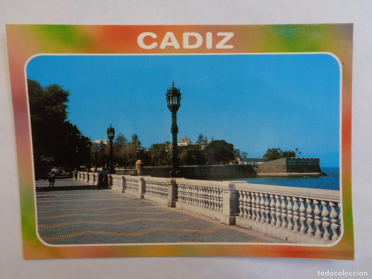 Postais: POSTAL DE CADIZ : ALAMEDA