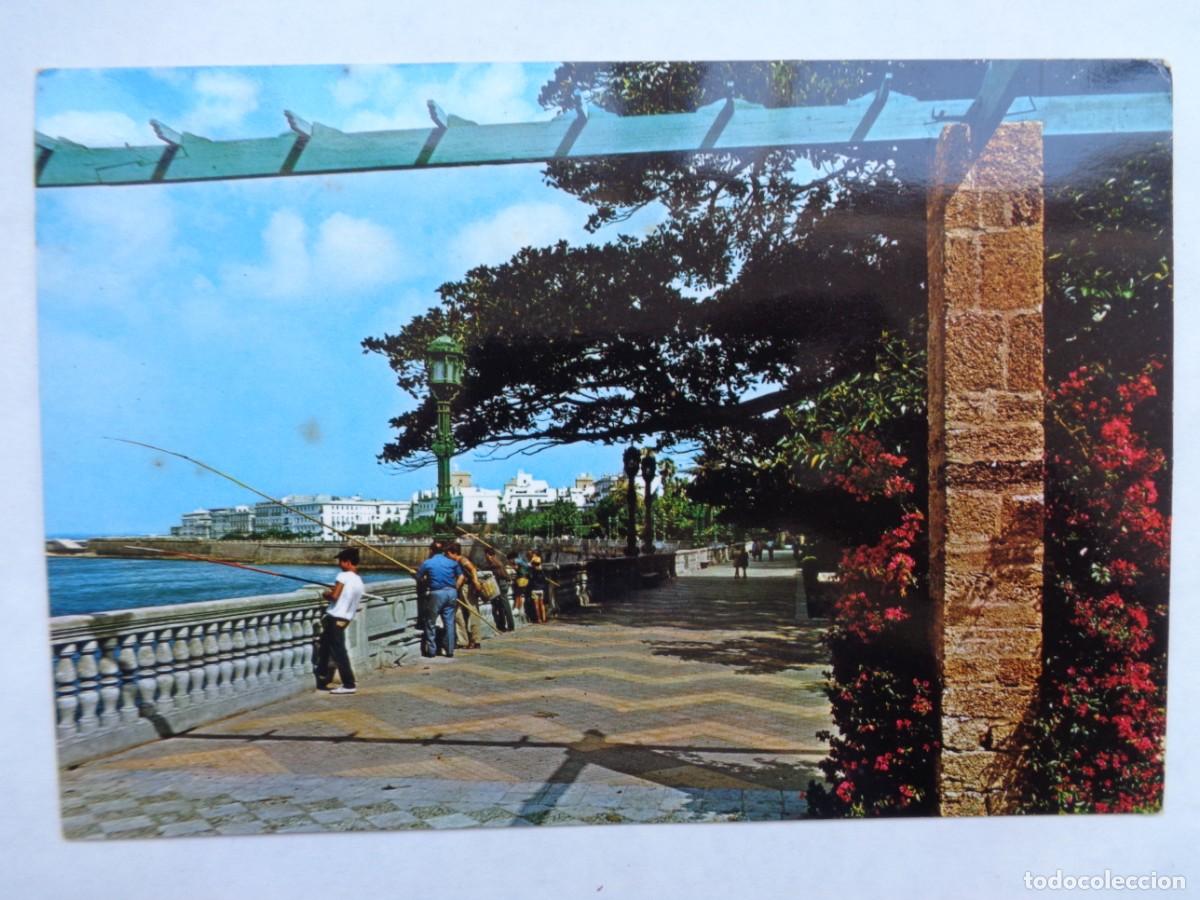 Postais: POSTAL DE CADIZ : ALAMEDA MARQUES DE COMILLAS. A&Ntilde;OS 70