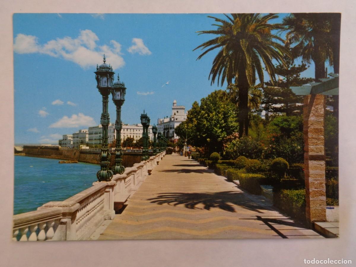 Postais: POSTAL DE CADIZ : ALAMEDA MARQUES DE COMILLAS. A&Ntilde;OS 70