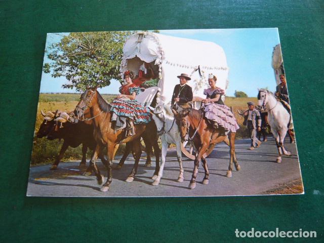 Postales: ROMERIA DEL ROCIO POSTAL------------------- - Foto 1