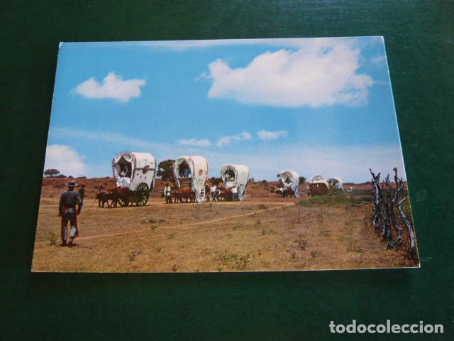 Postales: ROMERIA DEL ROCIO POSTAL------------------- - Foto 1