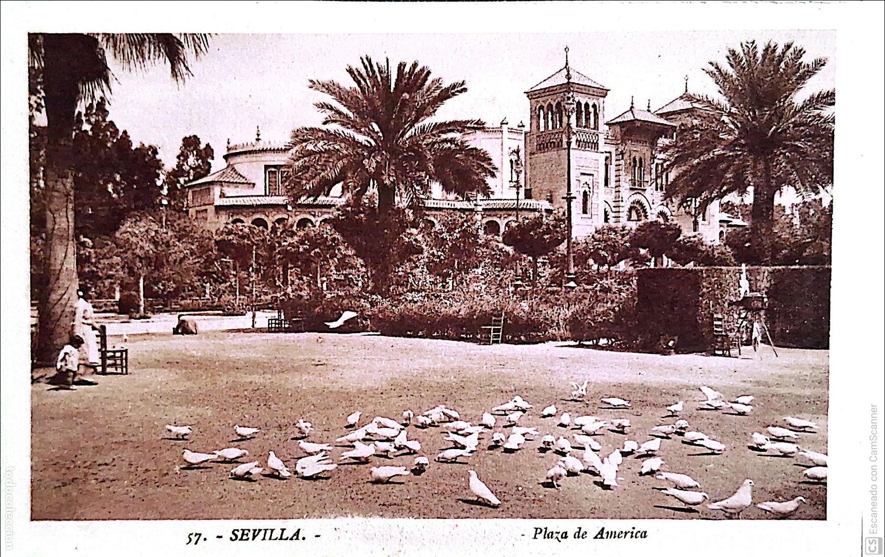 Cartes Postales: Sevilla. 57 Plaza de Am&eacute;rica. Roisin. Nueva. Sepia.