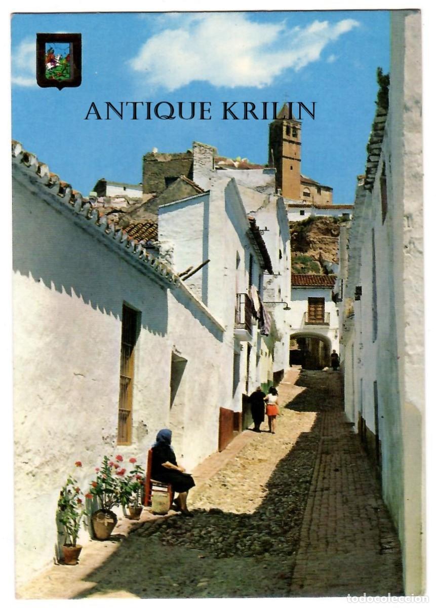 Cartes Postales: VELEZ-MALAGA N&ordm; 7 CALLE TIPICA / EDICION ESCUDO DE ORO / CIRCULADA