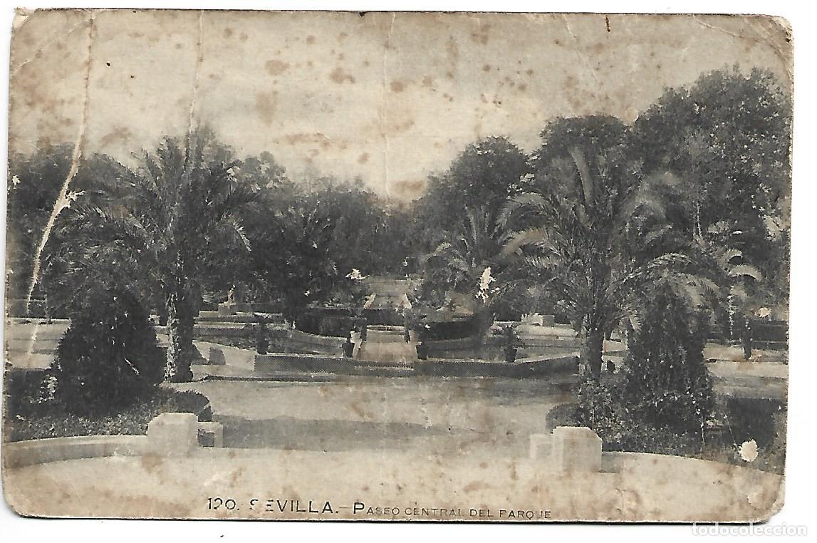 Postales: PASEO CENTRAL DEL PARQUE.- SEVILLA - Foto 1