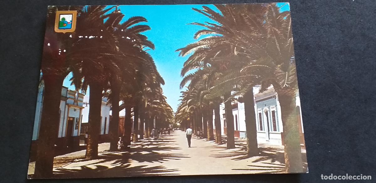 Cartoline: ESPA&Ntilde;A-V54B-150X105mm.-HUELVA-ISLA CRISTINA-PASEO DE LAS PALMERAS