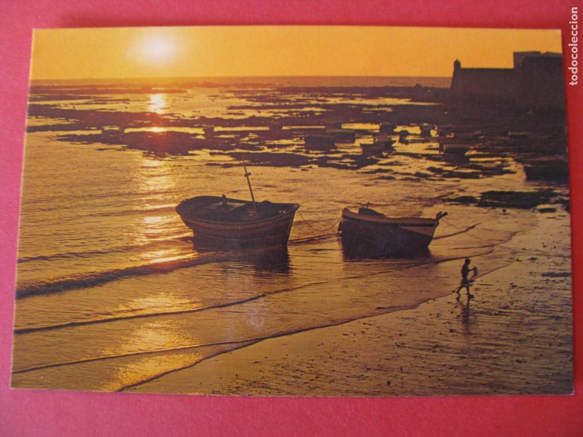 Cartoline: POSTAL DE CADIZ. LA CALETA. PAPELERIA ALFA. ESCRITA.