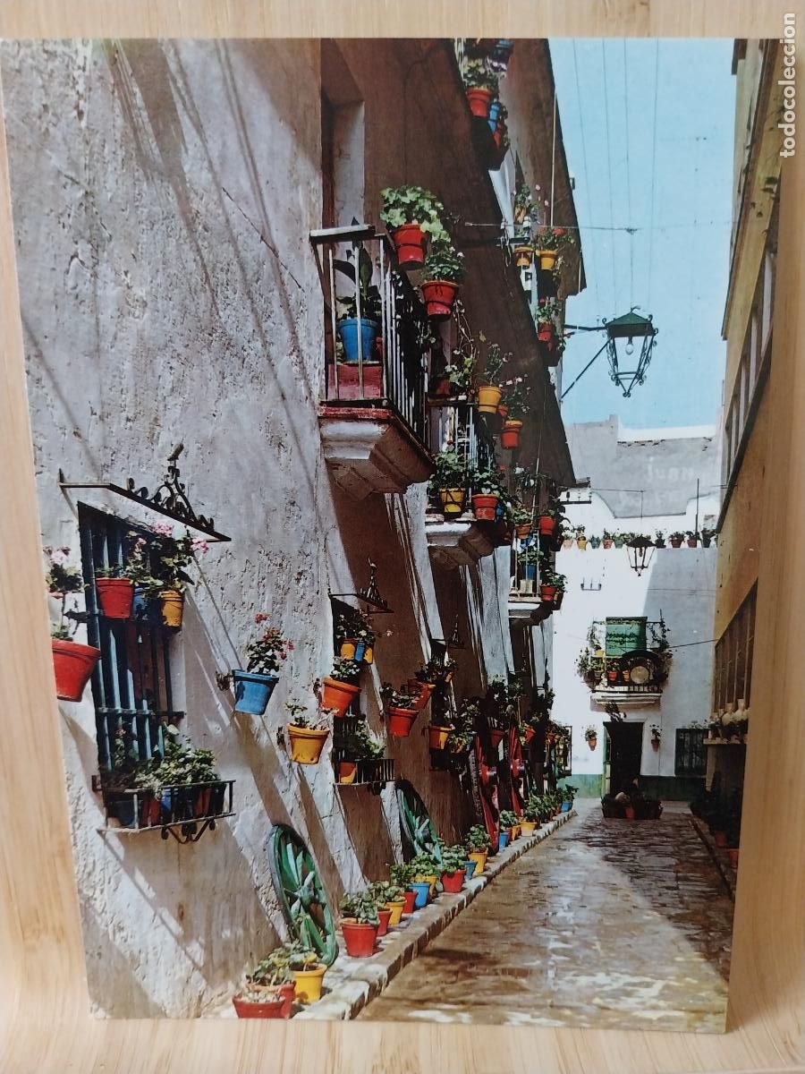 Postkarten: CALLEJON DE LOS DUROS ANTIGUOS CADIZ ED SICILIA 37 SC ORIGINAL