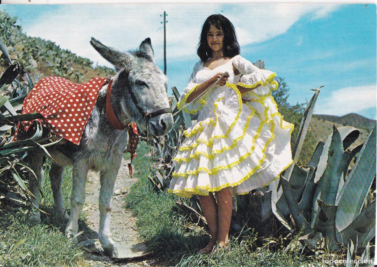 Postcards: ANDALUCIA, VISTA FOLKLORICA - COMERCIAL PRAT - S/C