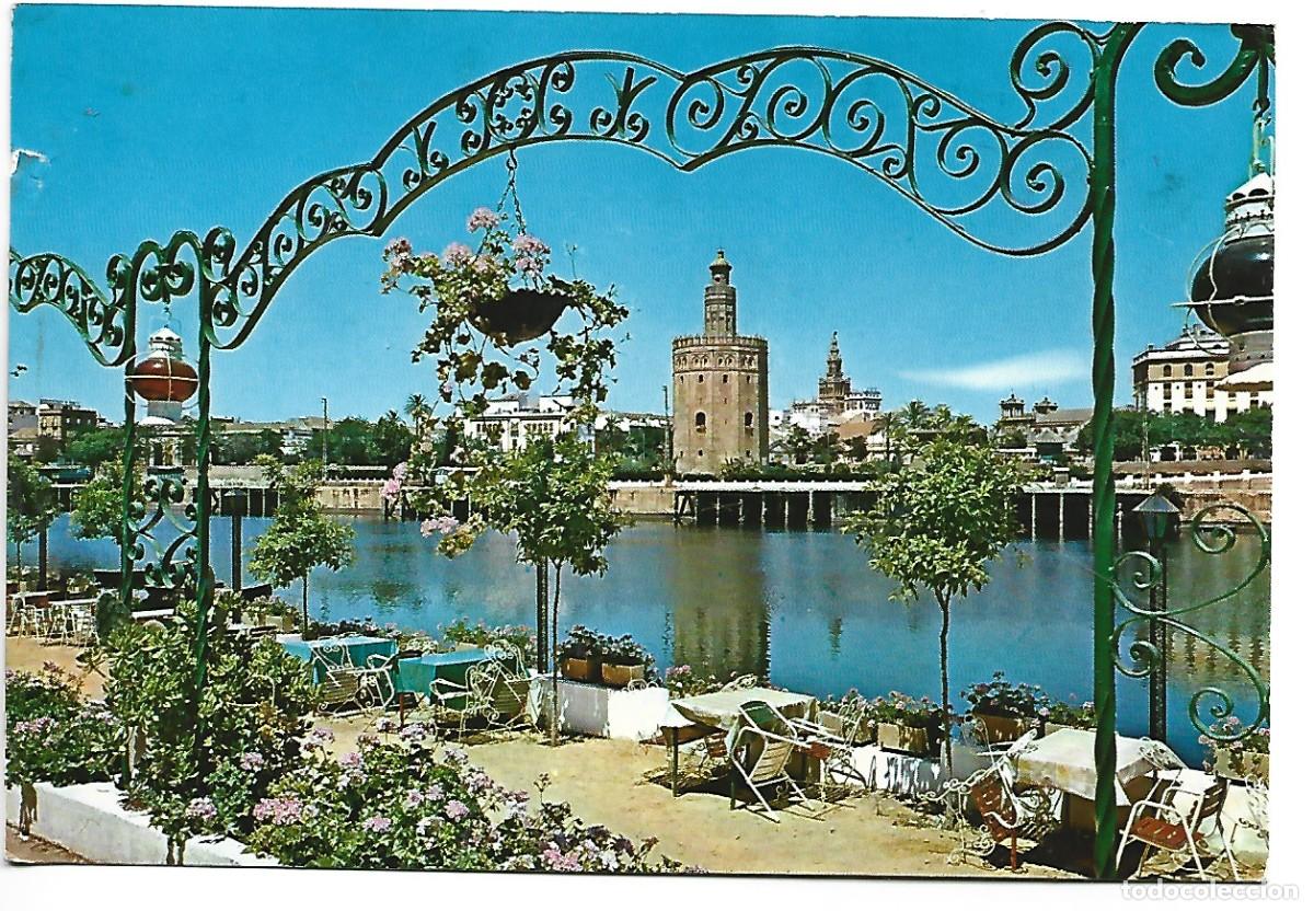 Postales: TORRE DEL ORO.- SEVILLA - Foto 1