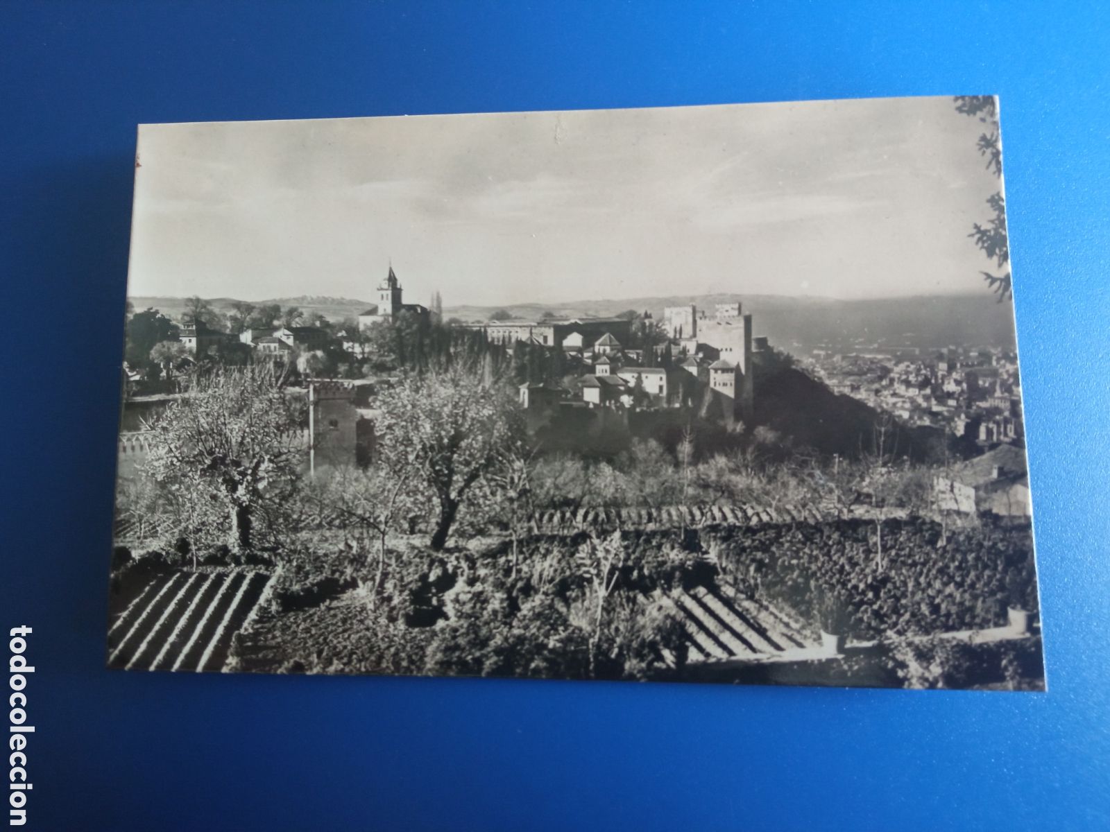 Postales: Antigua postal fotogr&aacute;fica, GENERALIFE, Granada, Vista General de la Alhambra desde el Generalife