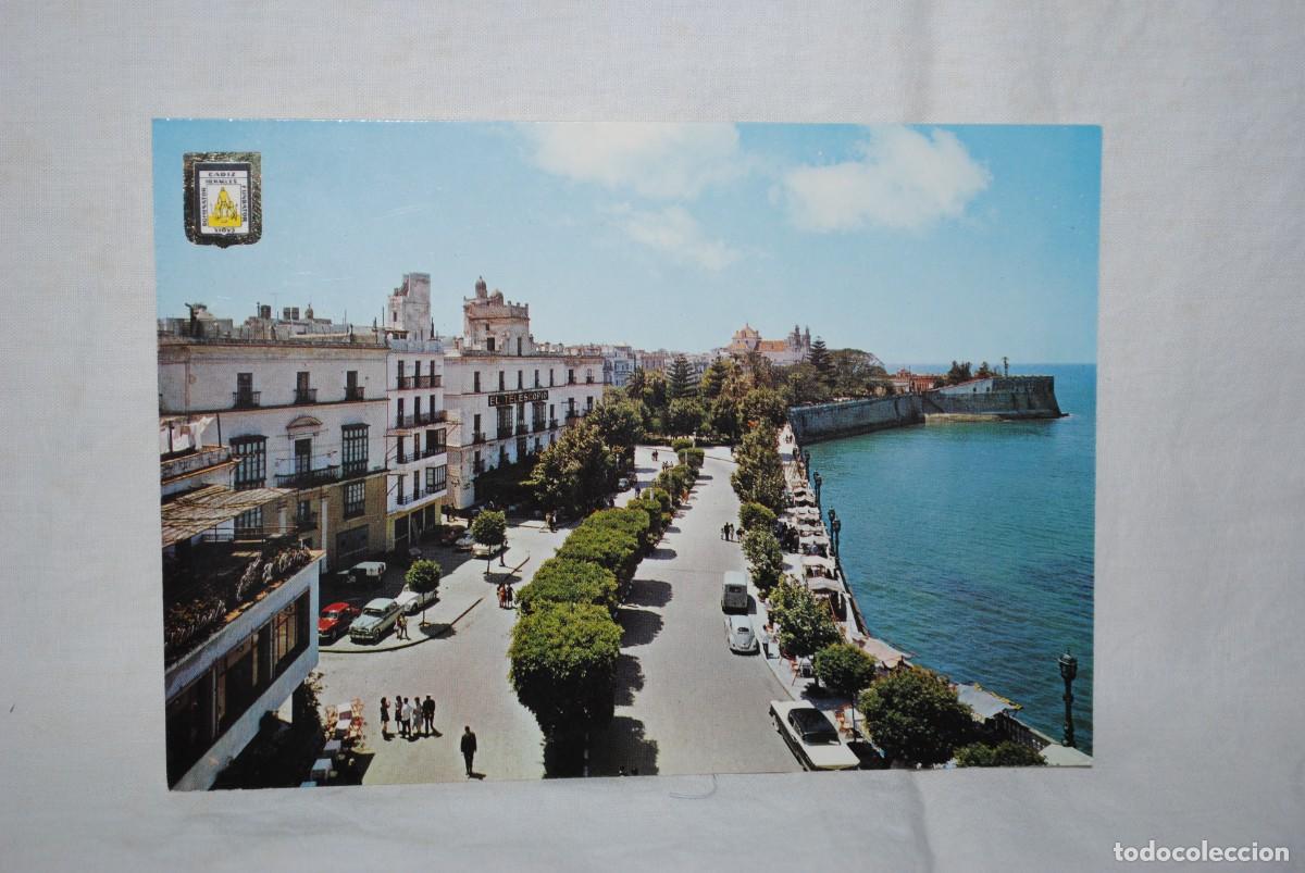 Postales: CADIZ , ALAMEDA DE APODACA - Foto 1