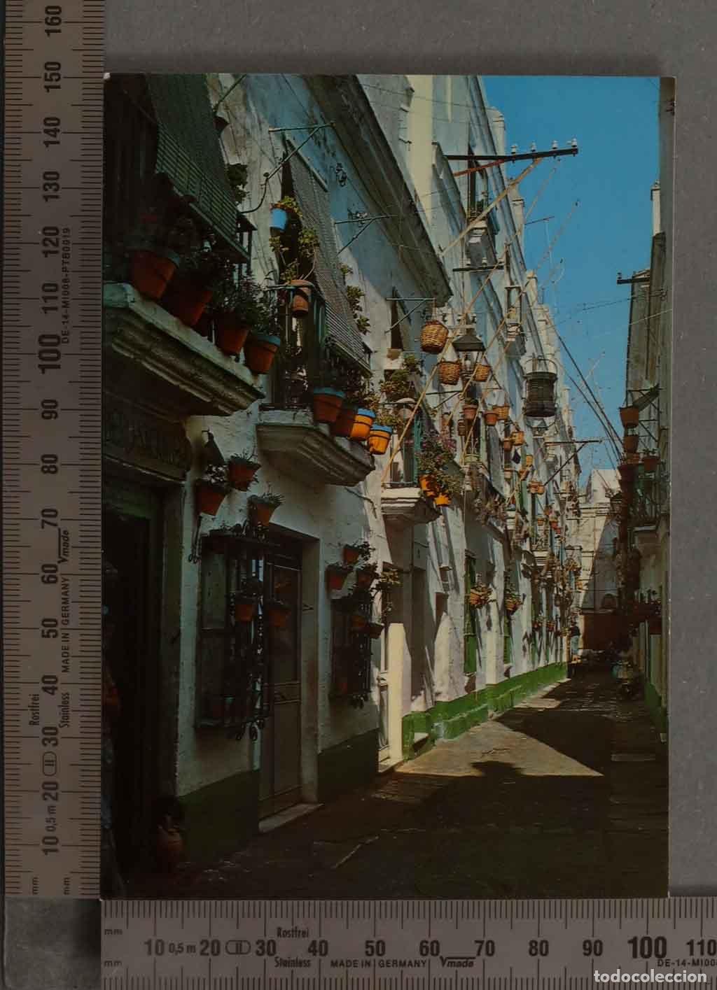 Postales: POSTAL. calle Panam&aacute; en C&aacute;diz - Foto 1