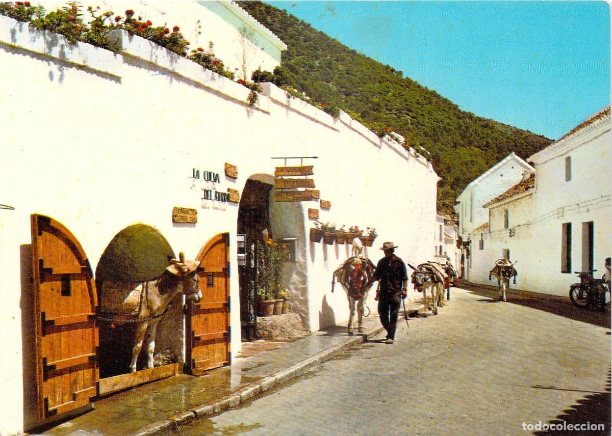 Postcards: Postal Servicio Burro Taxis Mijas Costa del Sol Pueblo Blanco T&iacute;pico Espa&ntilde;a
