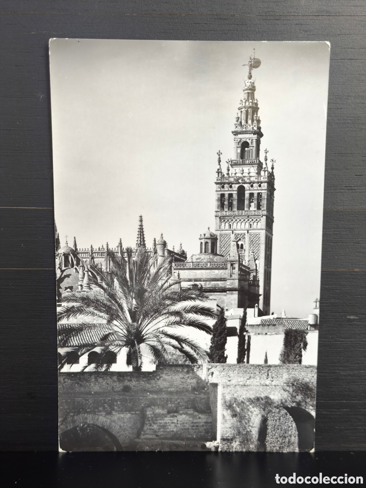 Cartes Postales: Antigua postal fotogr&aacute;fica Sevilla La Giralda Vista desde el Alc&aacute;zar Ed. DOM&Iacute;NGUEZ n&uacute;m 61