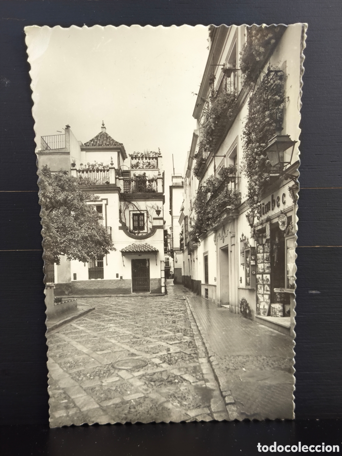 Cartes Postales: Antigua postal fotogr&aacute;fica Sevilla Plaza de Do&ntilde;a Elvira Ed. SICILIA n&uacute;m 258