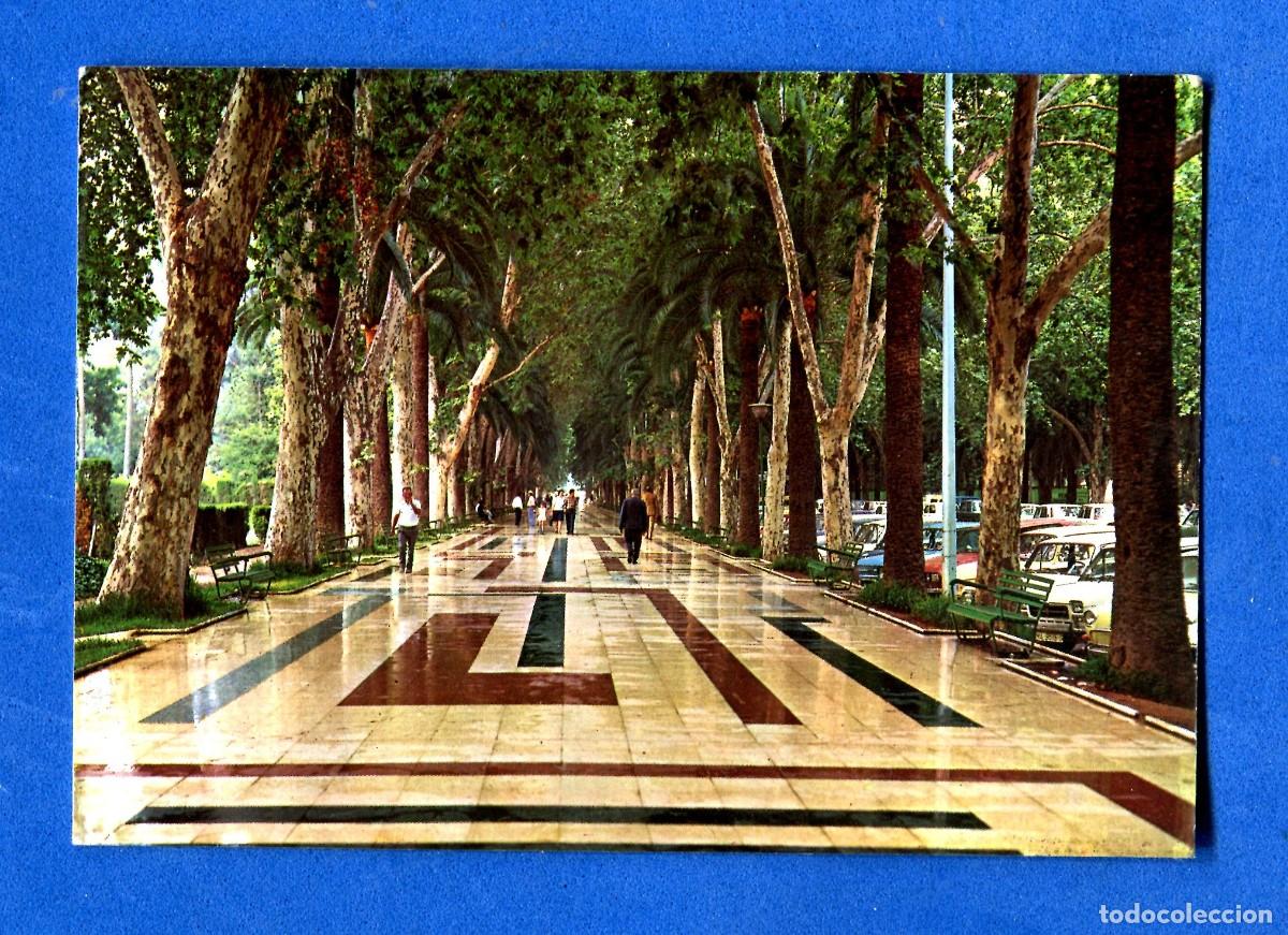 Cartes Postales: POSTAL ESCRITA PERO NO CIRCULADA MALAGA 202 EDITA ARRIBAS