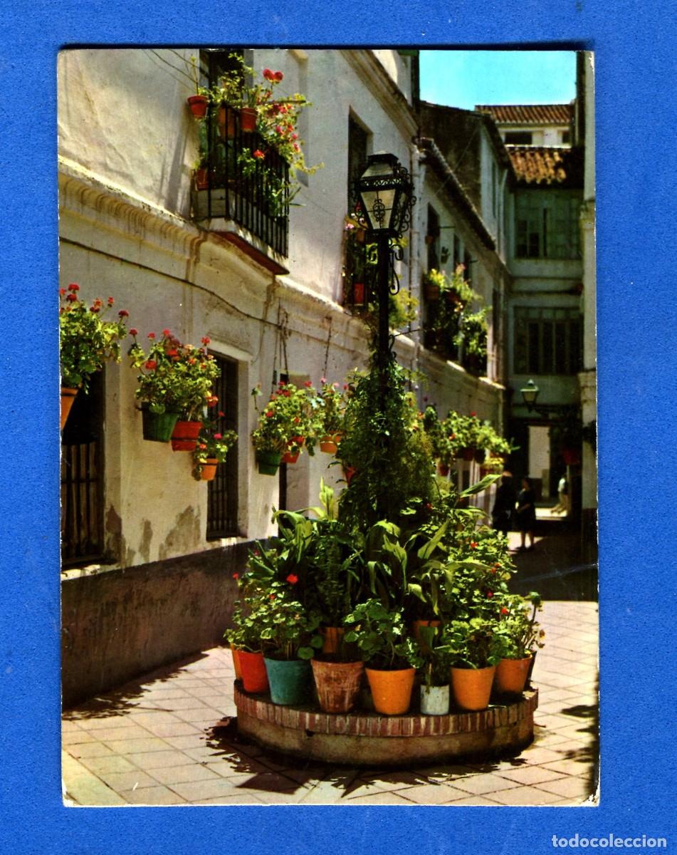 Cartes Postales: POSTAL ESCRITA PERO NO CIRCULADA MALAGA 20 EDITA GARCIA GARRABELLA