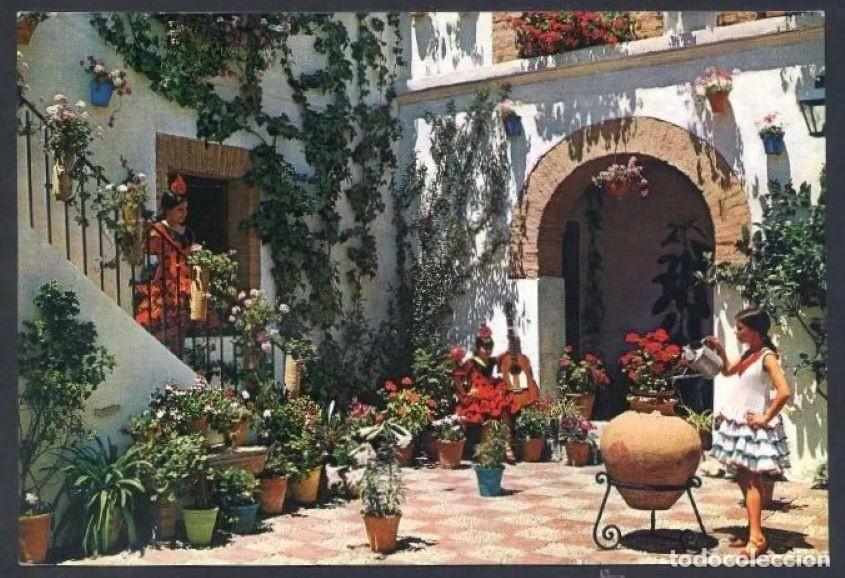 Cartoline: C&oacute;rdoba. *Patio cordob&eacute;s en calle Montero* Ed. G. Garrabella-Zgz n&ordm; 94. Nueva.