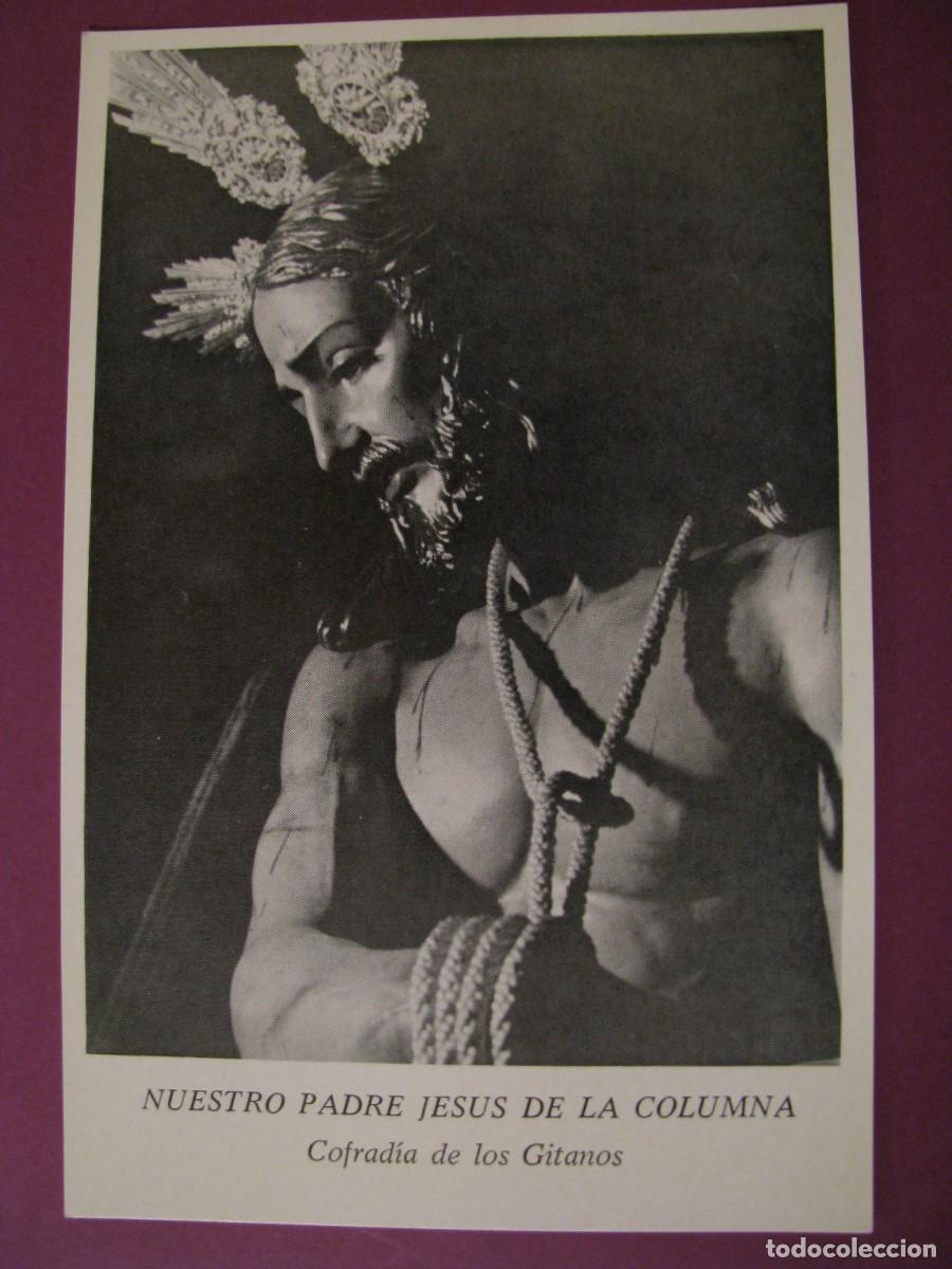 Postcards: POSTAL DE NUESTRO PADRE JES&Uacute;S DE LA COLUMNA. COFRAD&Iacute;A DE LOS GITANOS, MALAGA. 17,5X11,5 CM