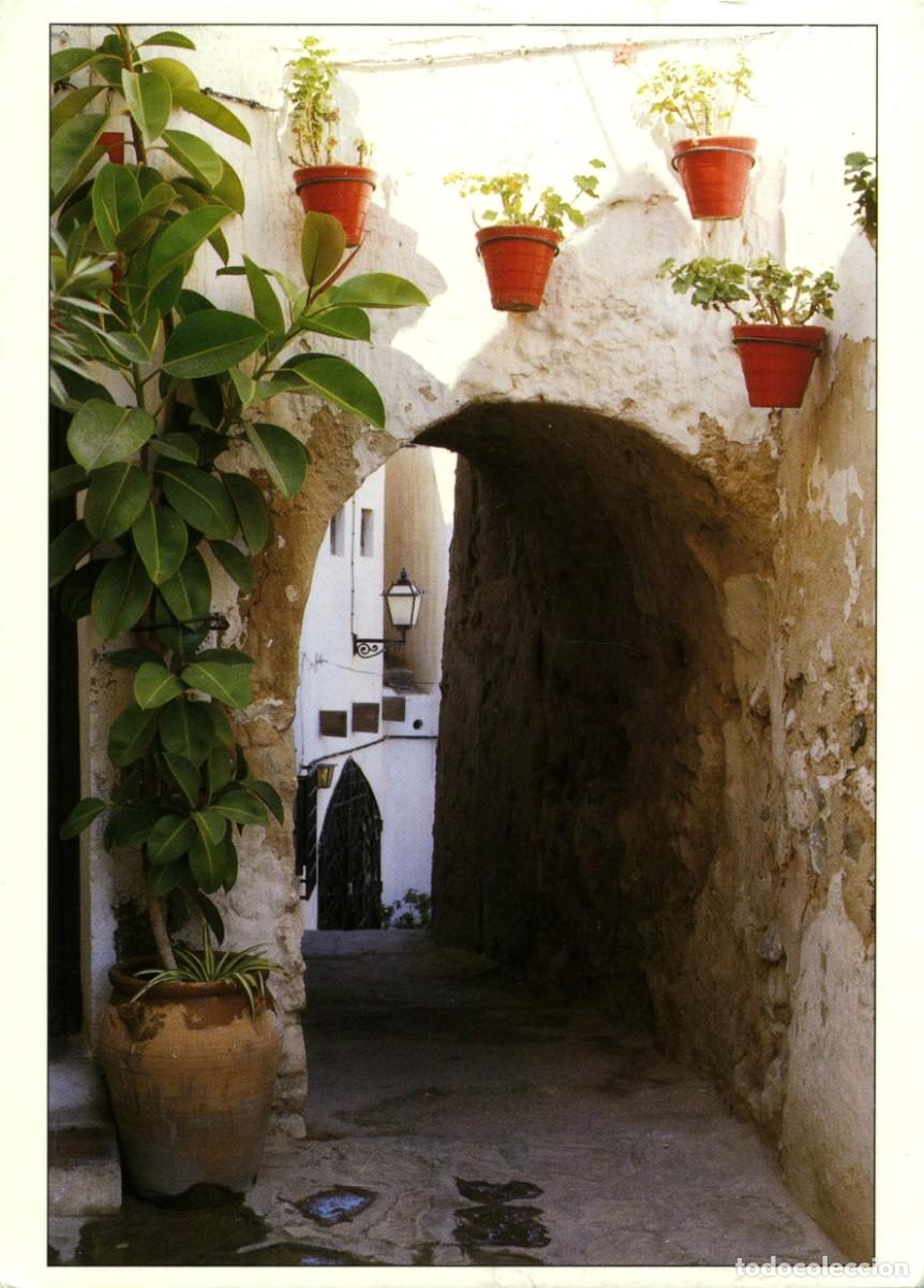 Postales: N&ordm; 974.8-MOJ&Aacute;CAR. Almer&iacute;a. ED. TRIANGLE POSTALS - Foto 1
