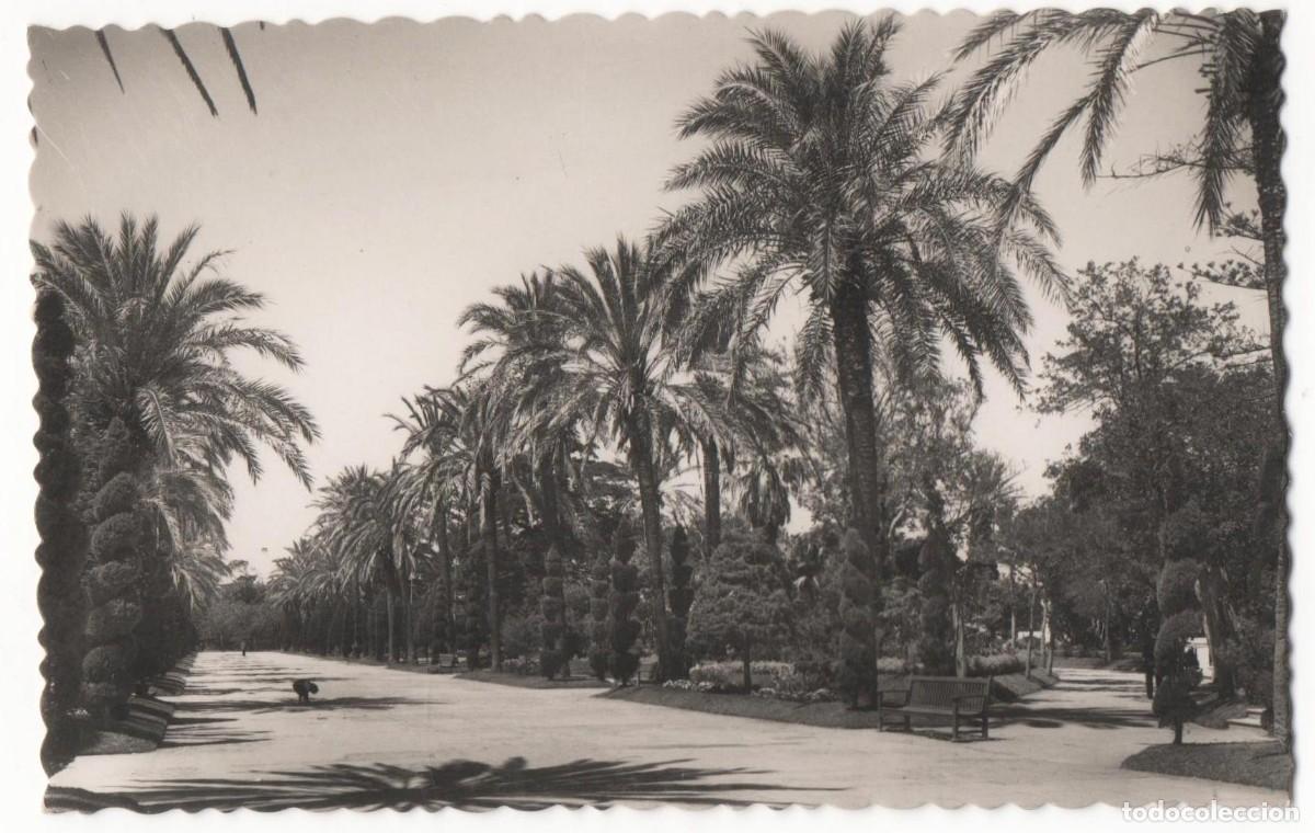 Postales: C&aacute;diz-Parque Genov&eacute;s-sin circular- - Foto 1