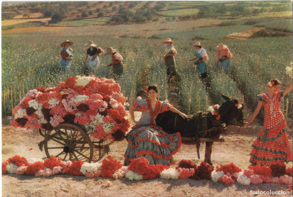 Postales: Claveles de Espa&ntilde;a-sin circular- - Foto 1