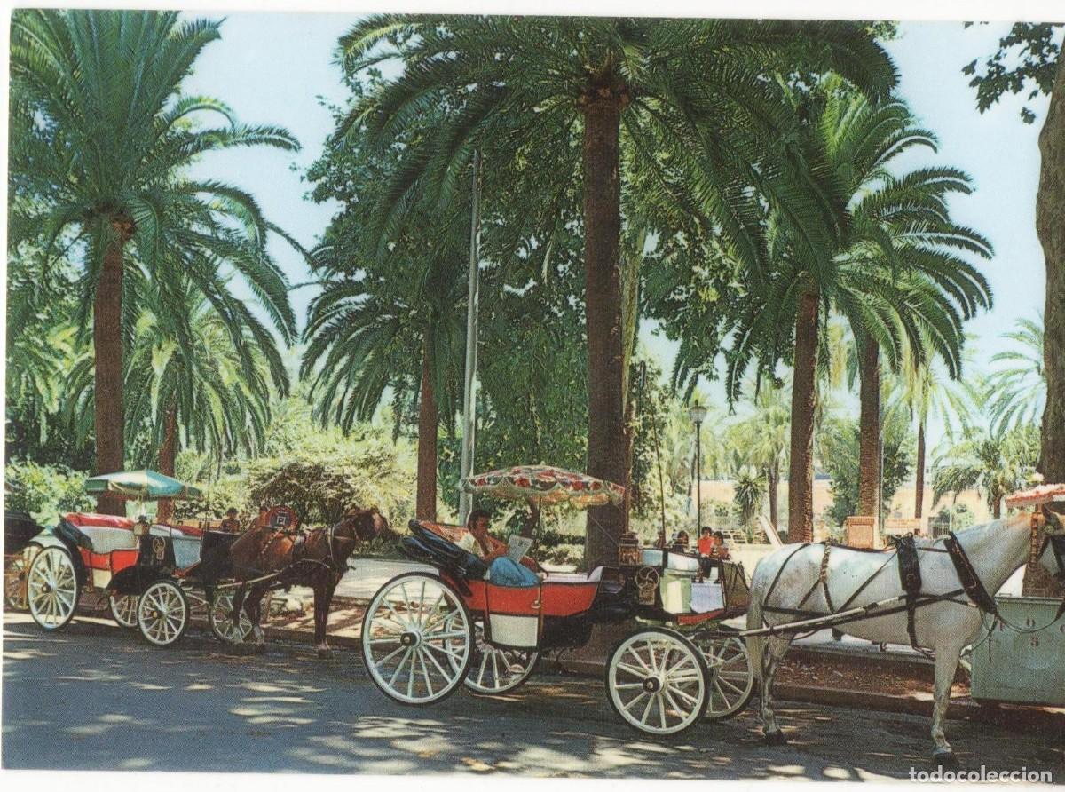 Postales: M&aacute;laga-Paseo del Parque--Sin circular- - Foto 1