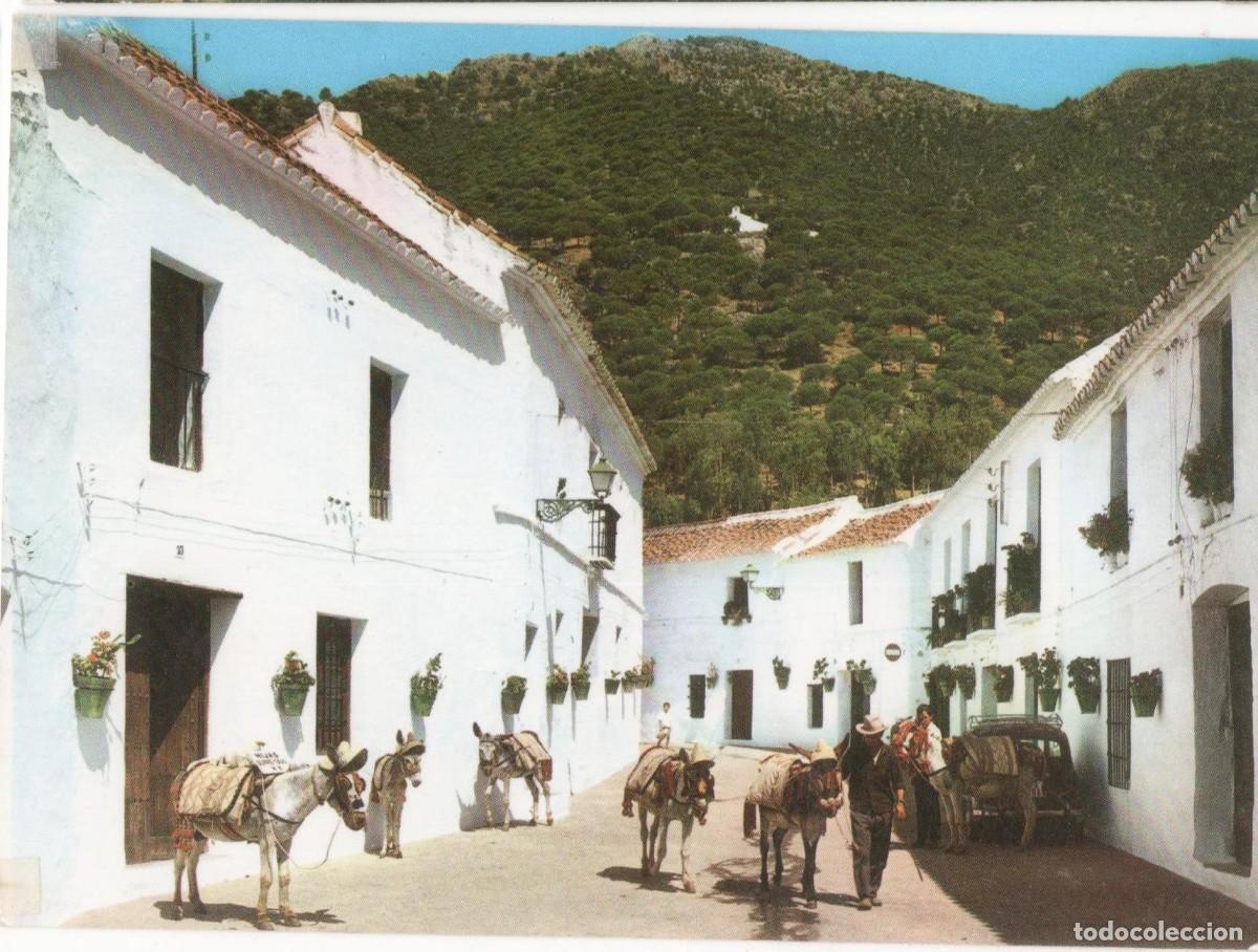 Postales: M&aacute;laga-Mijas--Sin circular- - Foto 1
