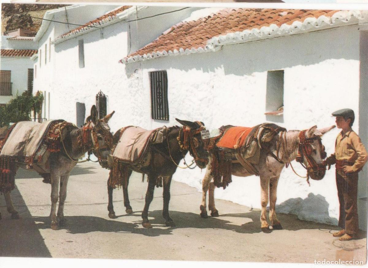 Postales: M&aacute;laga-Mijas--Sin circular- - Foto 1