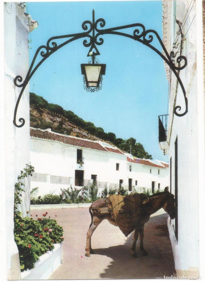 Postales: M&aacute;laga-Mijas--Sin circular- - Foto 1