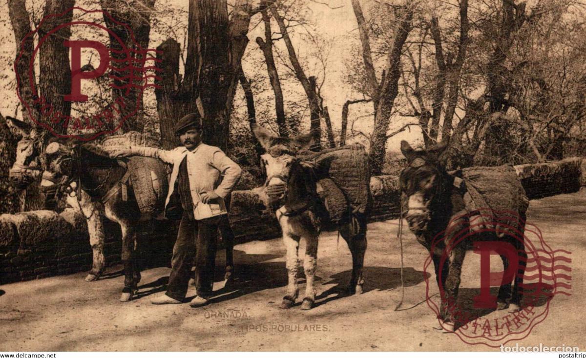 Postales: GRANADA. HAUSER Y MENET. - Foto 1