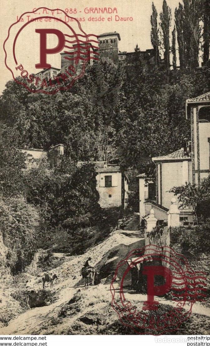 Postales: GRANADA LA TORRE DE LAS DAMAS DESDE EL DAURO - Foto 1