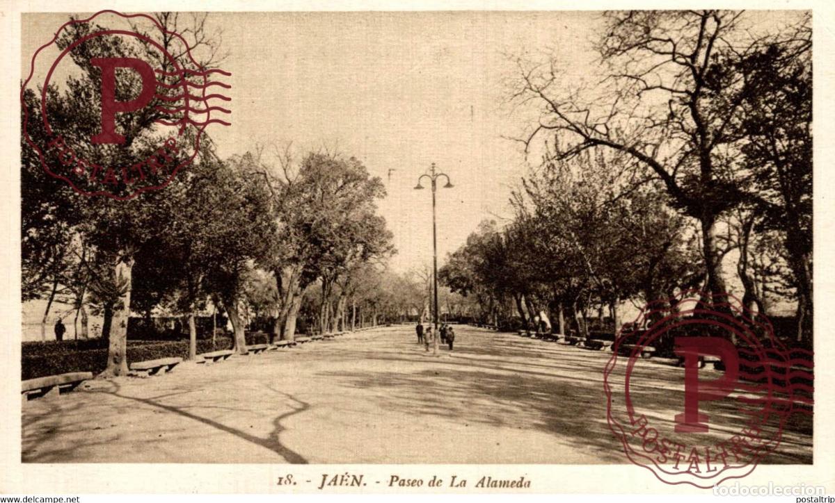Postales: JAEN. PASEO DE LA ALAMEDA. - Foto 1