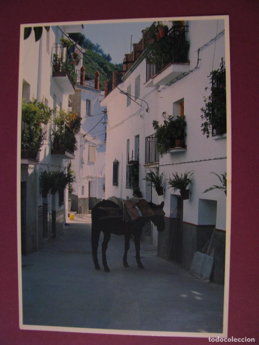 Postales: POSTAL DE ARCHEZ. CALLE TIPICA. - Foto 1
