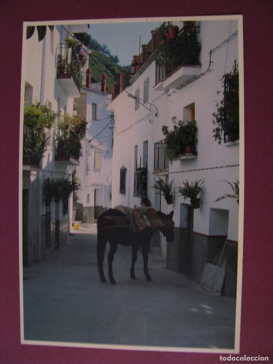 Postales: POSTAL DE ARCHEZ. CALLE TIPICA. - Foto 1