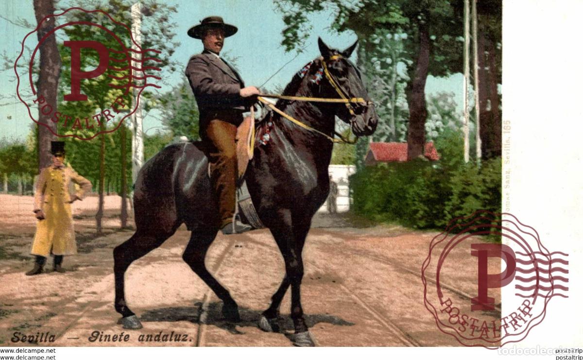 Postales: SEVILLA. GINETE ANDALUZ - Foto 1