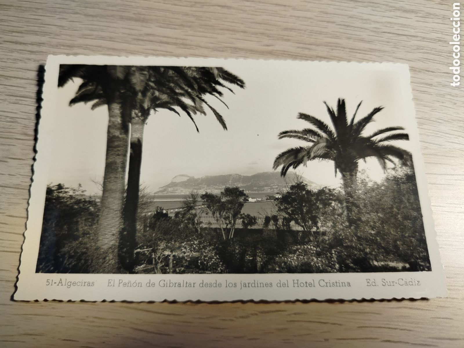 Postales: ALGECIRAS - EL PE&Ntilde;&Oacute;N DE GIBRALTAR DESDE LOS JARDINES DEL HOTEL CRISTINA