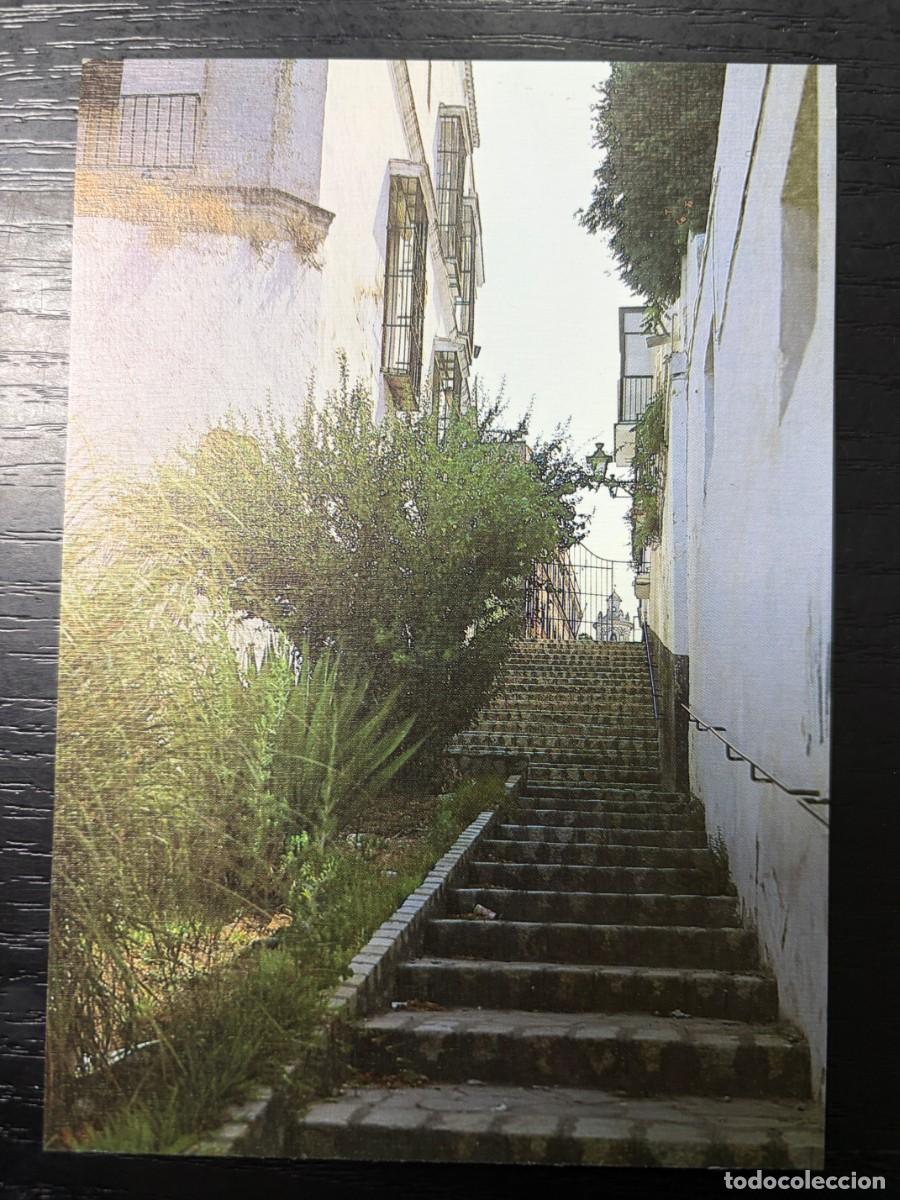 Postales: TARJETA POSTAL. C&Aacute;DIZ. 66.- SANLUCAR DE BARRAMEDA. CALLE T&Iacute;PICA. EDICIONES ARRIBAS
