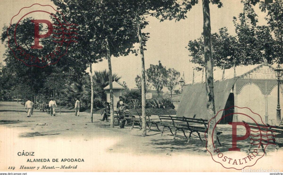 Postcards: CADIZ. ALAMEDA DE APOCADA. HAUSER Y MENET