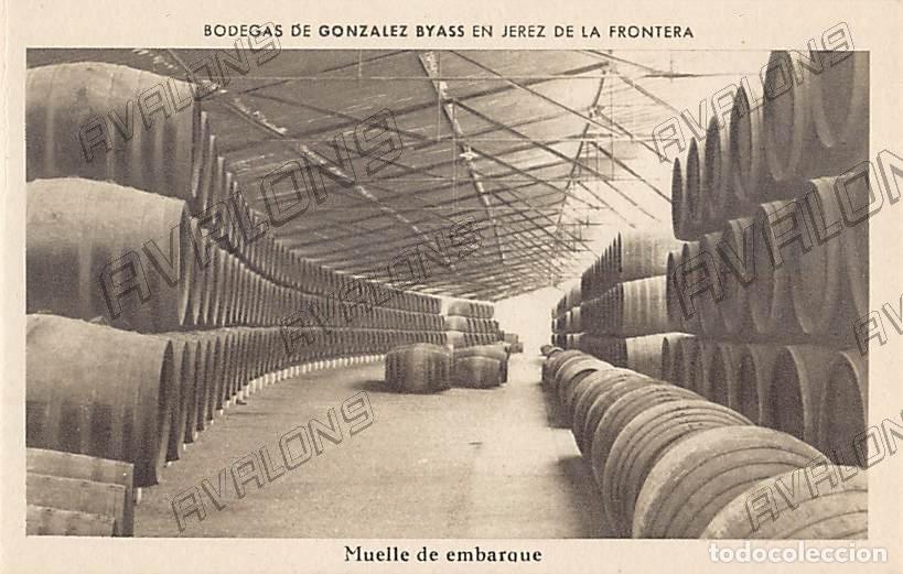 Postales: Postal de Bodegas de Gonz&aacute;lez Byass de Jerez de la Frontera (C&aacute;diz) - Sin Circular