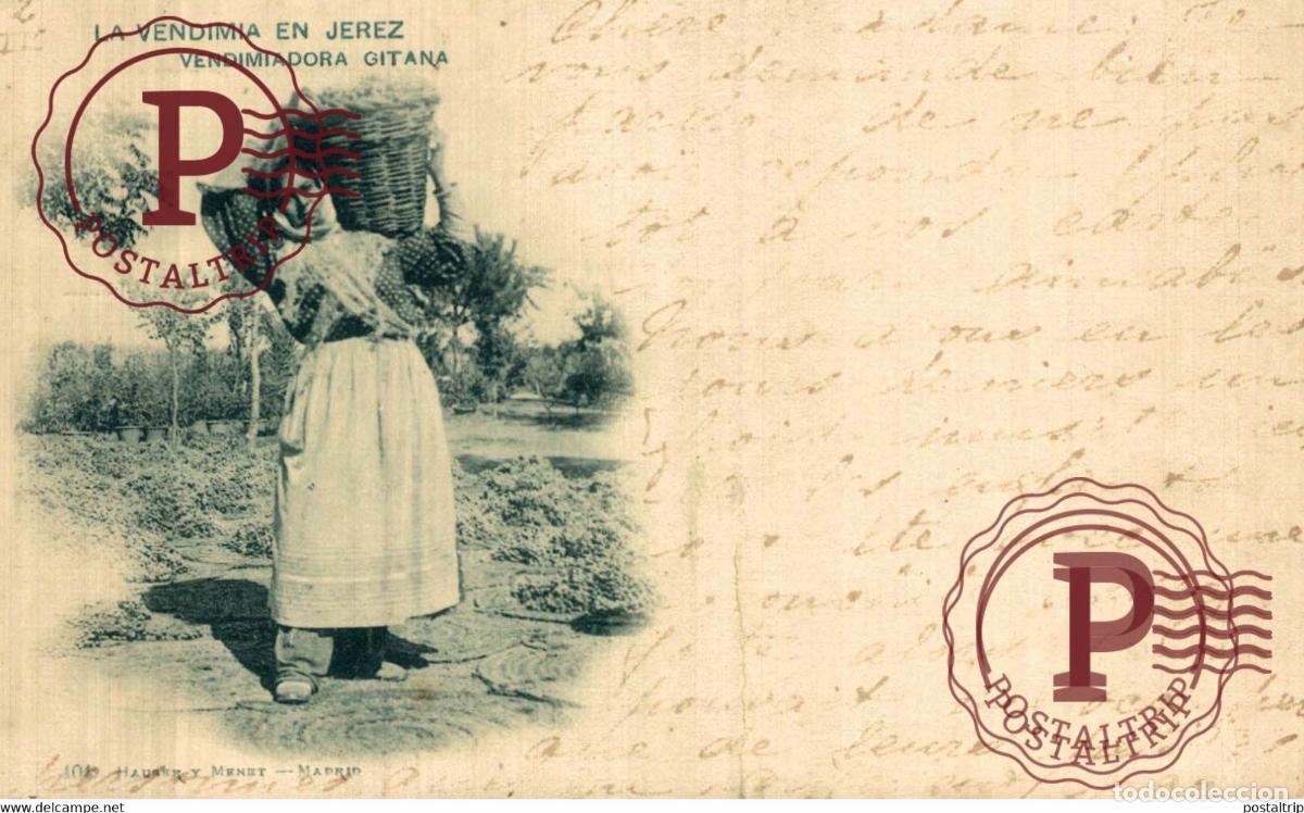 Postales: CADIZ. JEREZ. LA VENDIMIA EN JEREZ. VENDIMIADORA GITANA. HAUSER Y MENET.