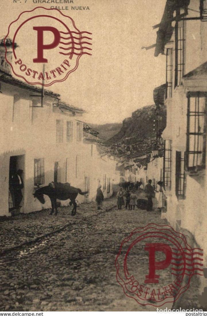 Postales: CADIZ. GRAZALEMA. CALLE NUEVA.