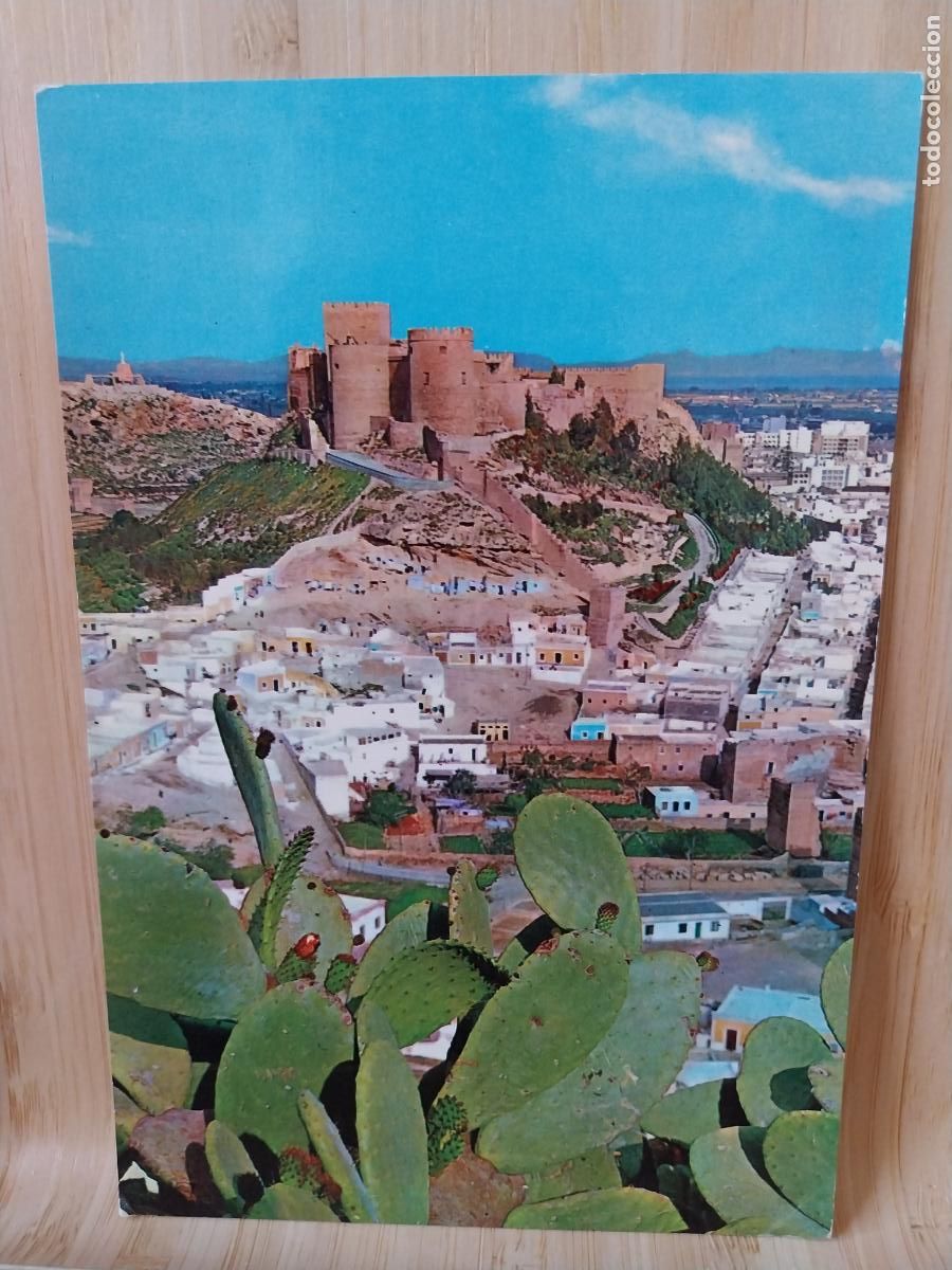 Postales: ALCAZABA CERRO SAN CRISTOBAL ALMERIA ED SEGURA 7020 CIRCULADA A&Ntilde;O 1966 CACTUS