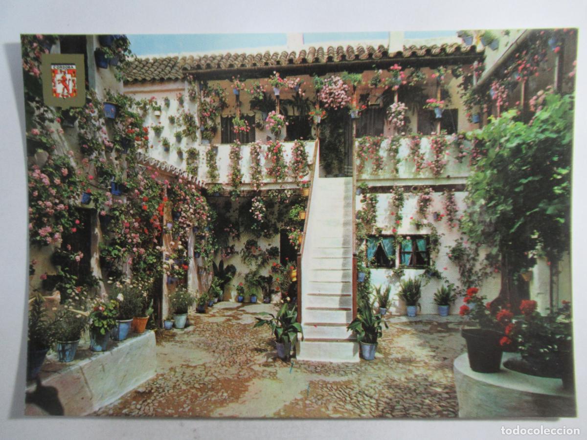 Postales: C&oacute;rdoba - Patio Cordob&eacute;s. Primer premio - S/C
